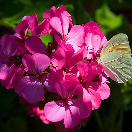 Nikos And アパート