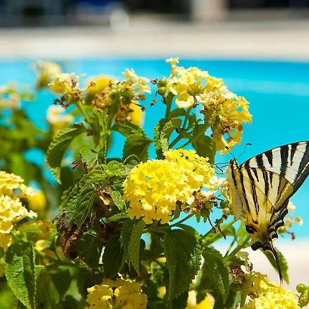 Nikos And アパート サミ